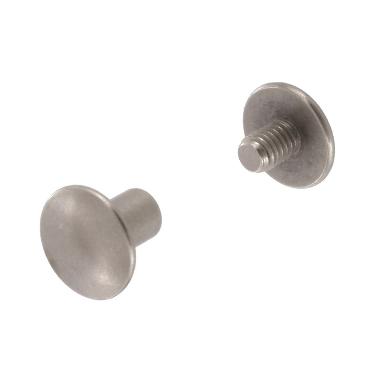 1/4" brushed nickel Chicago screw binding screw